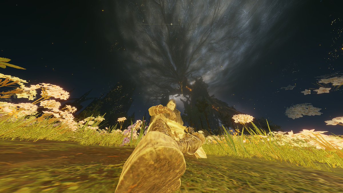 prgnt_slyr's tweet image. #ELDENRING #ShadowoftheErdtree