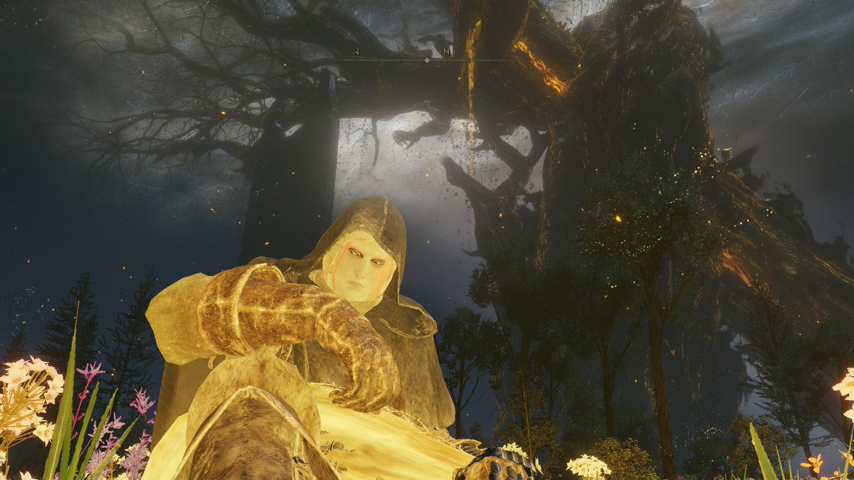 prgnt_slyr's tweet image. #ELDENRING #ShadowoftheErdtree