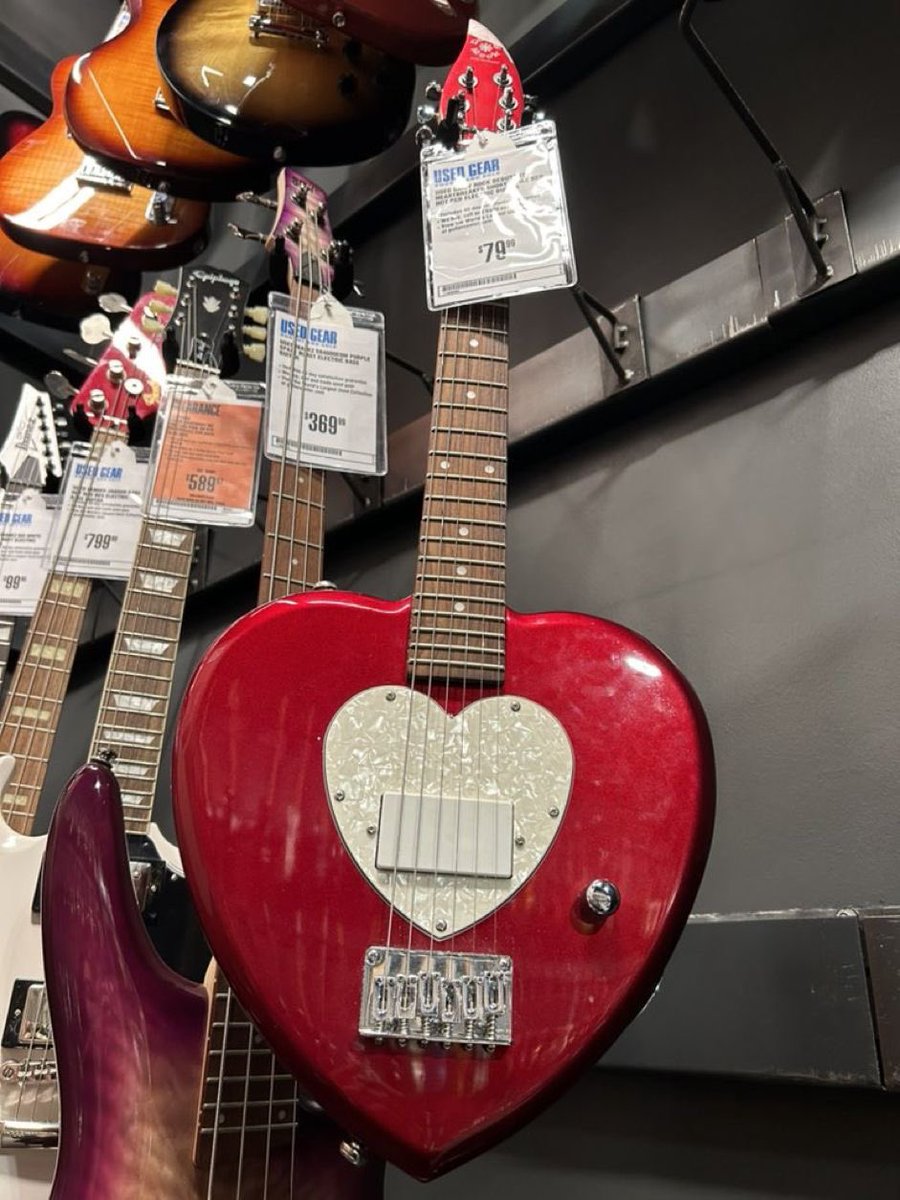 twilightstardew's tweet photo. heartbreak guitar daisy rock 🎸 https://t.co/JhiJDPNKEw