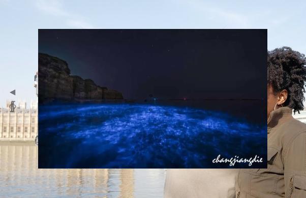 angledezee's tweet image. 💧Mid-scroll reflections mimics the gentle loop and that’s the post.🧾Tanager eats berry from bush🎥