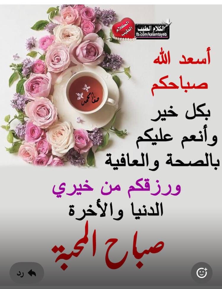 السلام عليكم✋
........ ورحمة الله وبركاته

اللهم اجعلنا ممن طيبت معيشتهم وأحسنت سيرتهم وشرحت صدورهم ووسعت رزقهم وأجبت سؤلهم

صباحكم رزق ...🕊️
صباح الخـيرات ...🌹
#رحاب_الدعوة #الصمت_حكمه