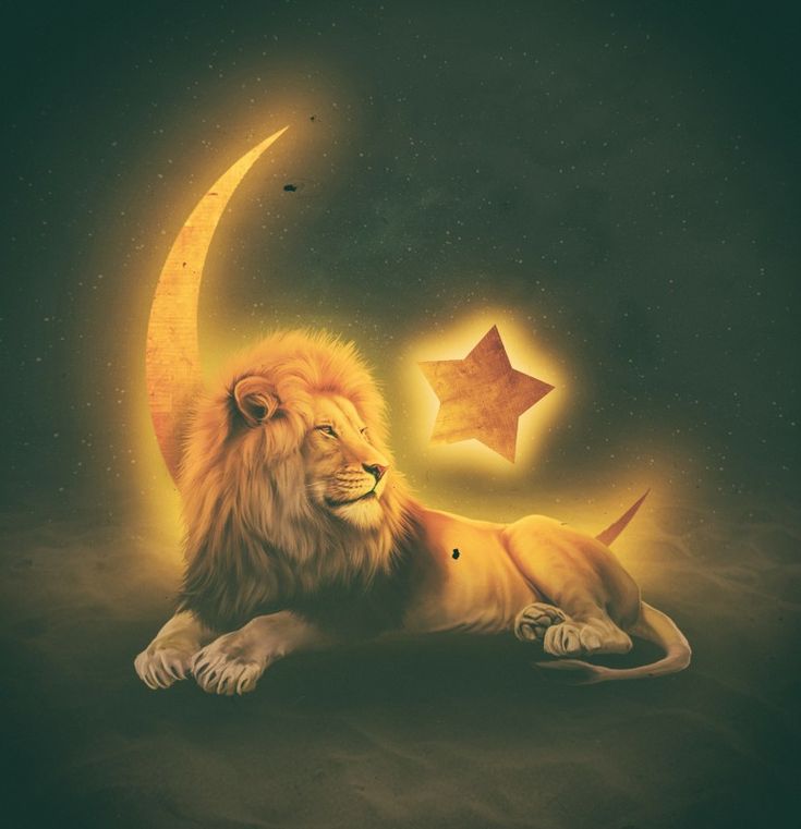 SoloPrincipales's tweet image. *｡:.                       . 
.:｡ﾟ       . *　　   *｡:.
.*･｡       *｡:.          .:｡ﾟ
🍁      .:｡ﾟ         .*･｡
            ﾟ.:｡          🍁
     .      🍂     
     *｡:.
      .:｡ﾟ
      .*･｡
      🍂
         
         #Descansen