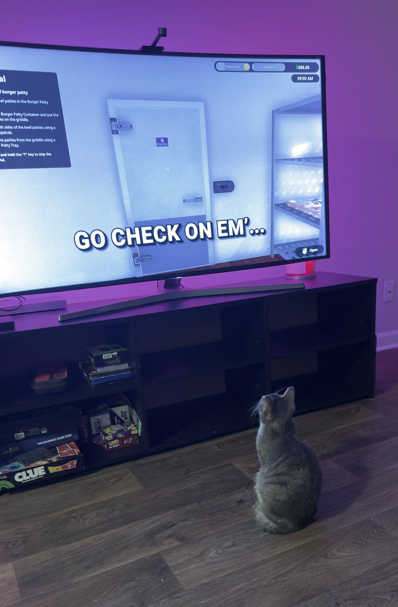 MiniMwMVT's tweet photo. My cat likes watching smii7y https://t.co/XYPF8zOgOd