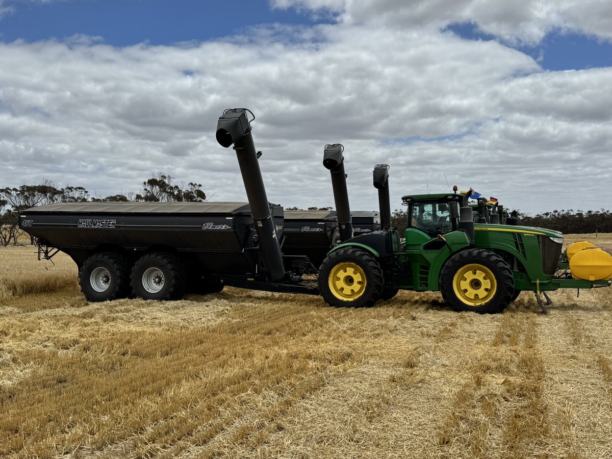 Paul O'Meehan tweet media