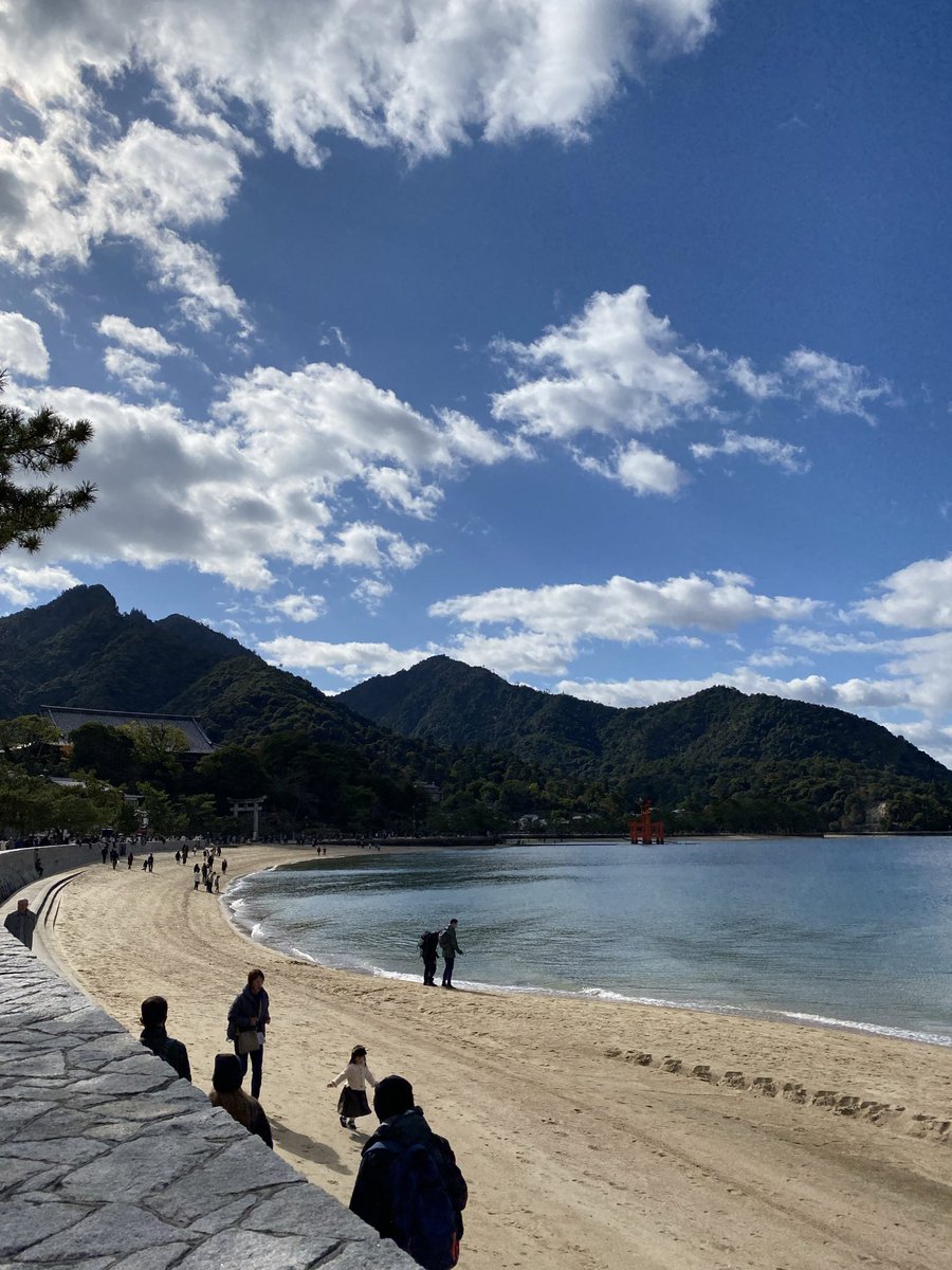 宮っ地 日比谷花壇 | デジウォールトップ | 壁紙のトキワ