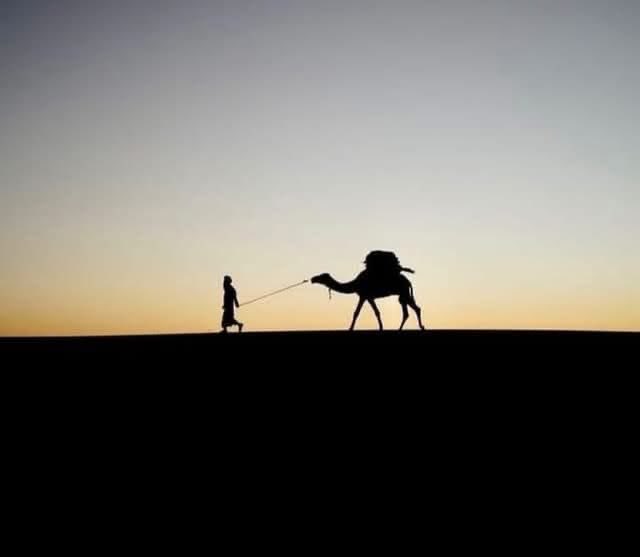 اصبحنا واصبح المُلك لله الواحد القهار ..

يأتي إليكَ المستجيرُ ماشيًا ..
  وأنت يا ذا الجودِ تأتِي هرولة