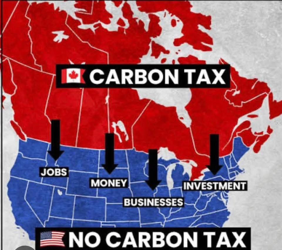 <a href="/ryangerritsen/">Ryan Gerritsen🇨🇦🇳🇱</a>