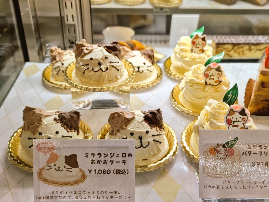 Momo_okj's tweet image. お食事のあとは
テイクアウト専門のお店にも🍰
こちらのお店も癒しのふくにゃんで溢れておりました。

#コロンバン
#ふくふくにゃんこ