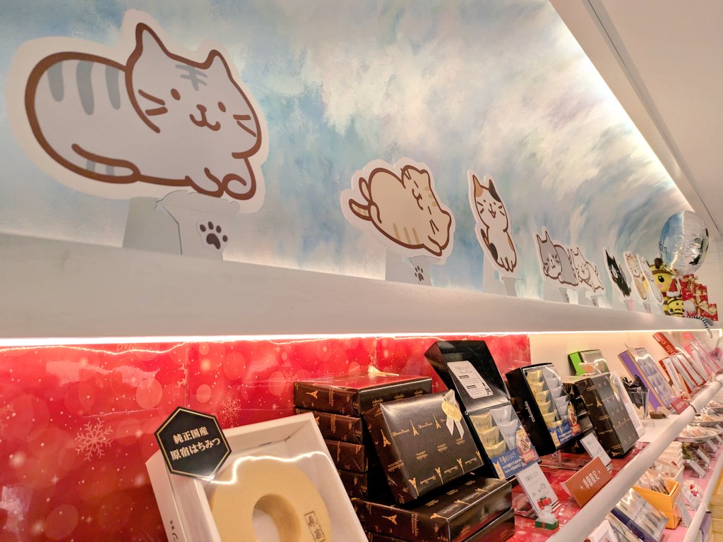 Momo_okj's tweet image. お食事のあとは
テイクアウト専門のお店にも🍰
こちらのお店も癒しのふくにゃんで溢れておりました。

#コロンバン
#ふくふくにゃんこ