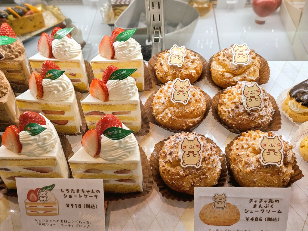Momo_okj's tweet image. お食事のあとは
テイクアウト専門のお店にも🍰
こちらのお店も癒しのふくにゃんで溢れておりました。

#コロンバン
#ふくふくにゃんこ