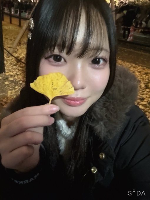 みけねこカフェ秋葉原店のツイート