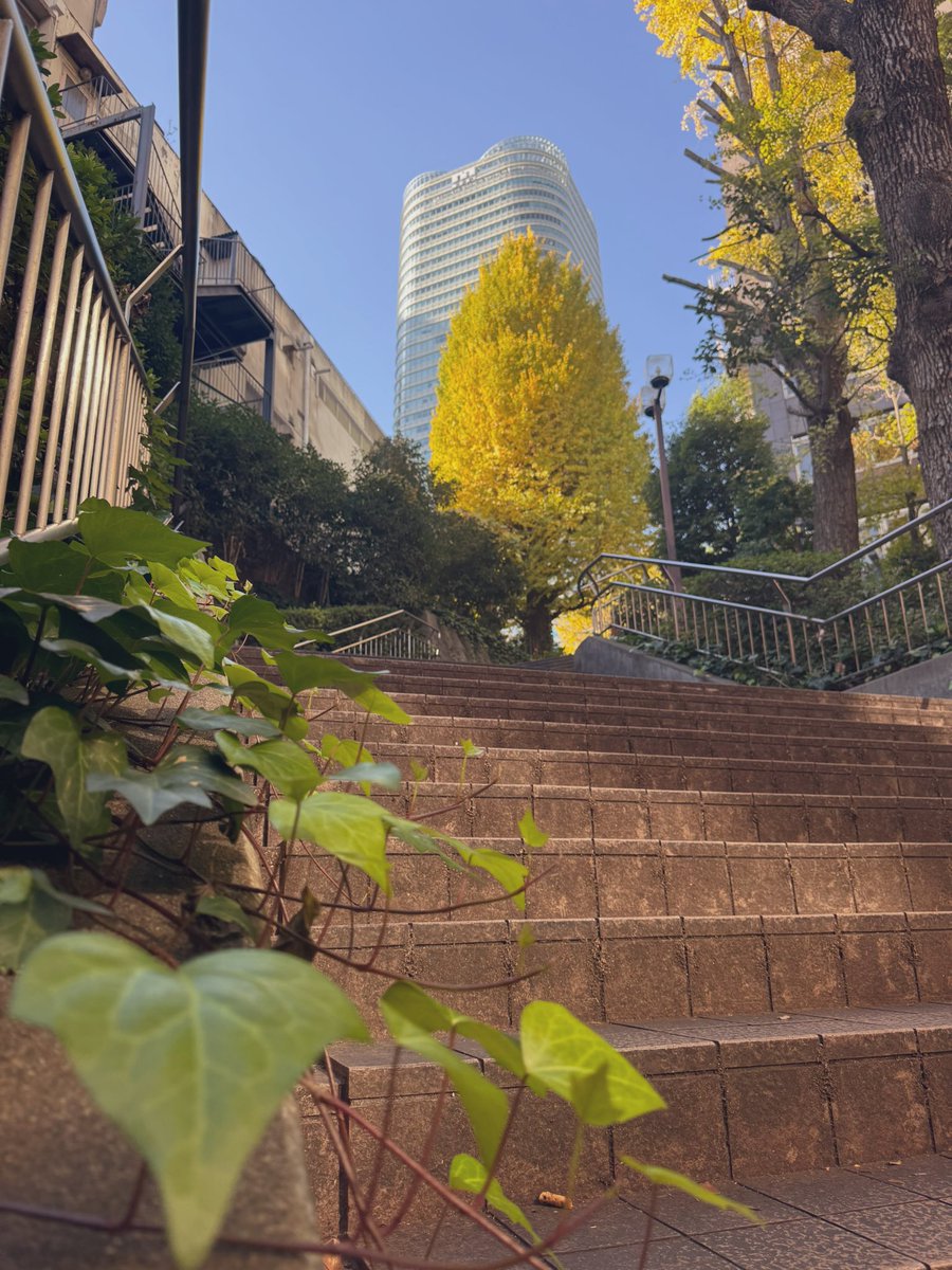 都会の山道