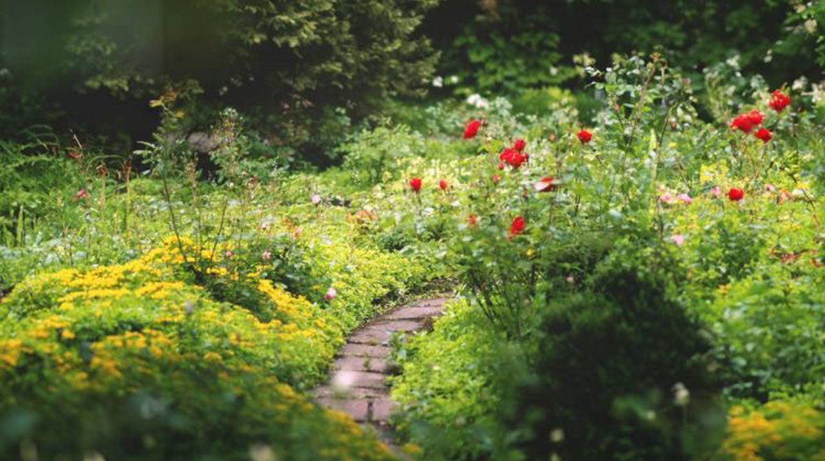 “Fellowship with Him.”
~1 John 1:6

When we were united by faith to Christ, we were brought into such complete fellowship with Him that we were made one with Him, and His interests and ours became mutual and identical.

We have fellowship with Christ in His love. What He loves we