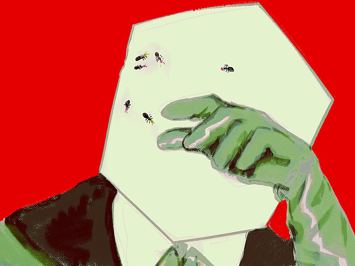 ascii_txt's tweet image. sugar cube