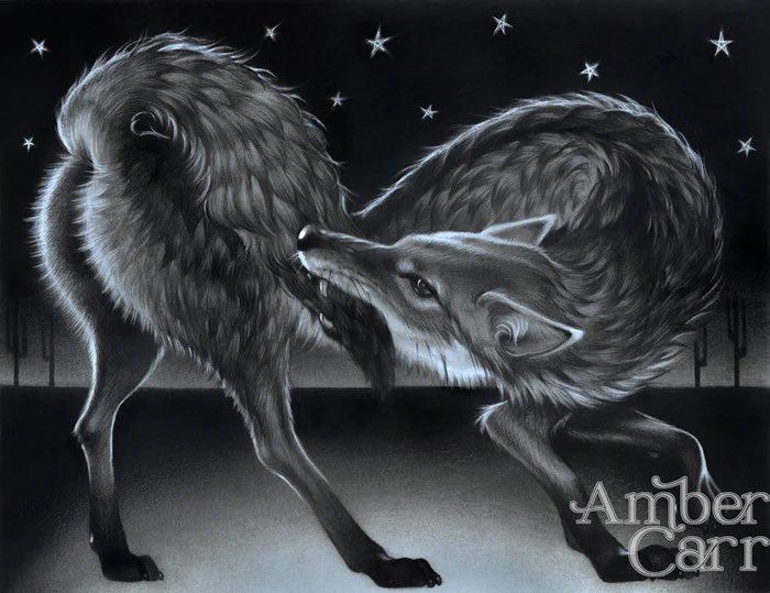 Running a Black Friday sale all week in both of my stores 🖤
20% off all orders automatically applied during checkout (yes even on original art) 
Sale ends 11/30 at 11:59pm EST

ambercarr.bigcartel.com/products

hornnucopia.bigcartel.com/products