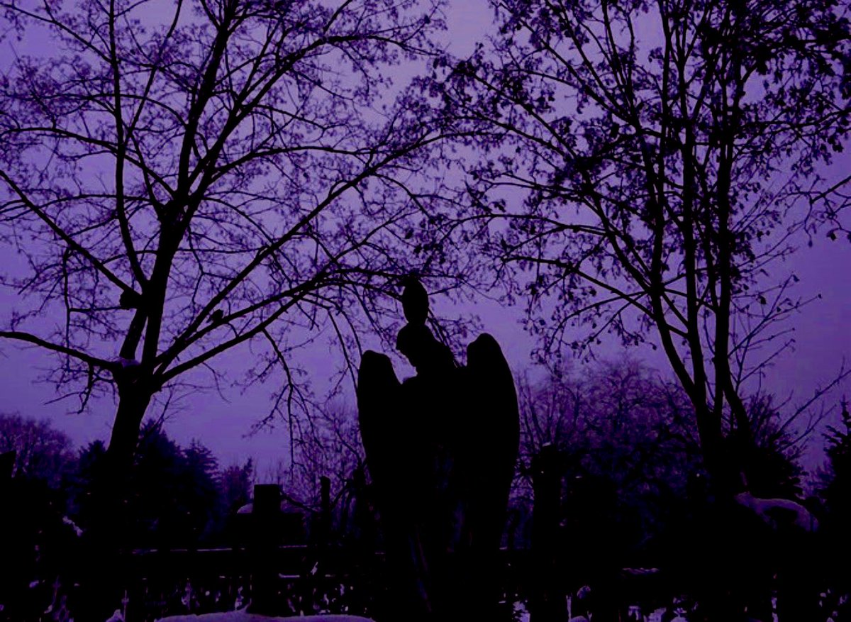 wizardspaces's tweet image. 