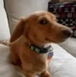 BXCKETS (OPEN) tweet media