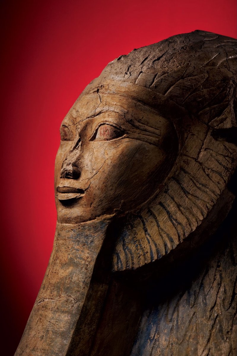 WithoutHistory's tweet image. Wooden carving of Queen Hatshepsut.
Greatest Female pharaoh of Egypt.