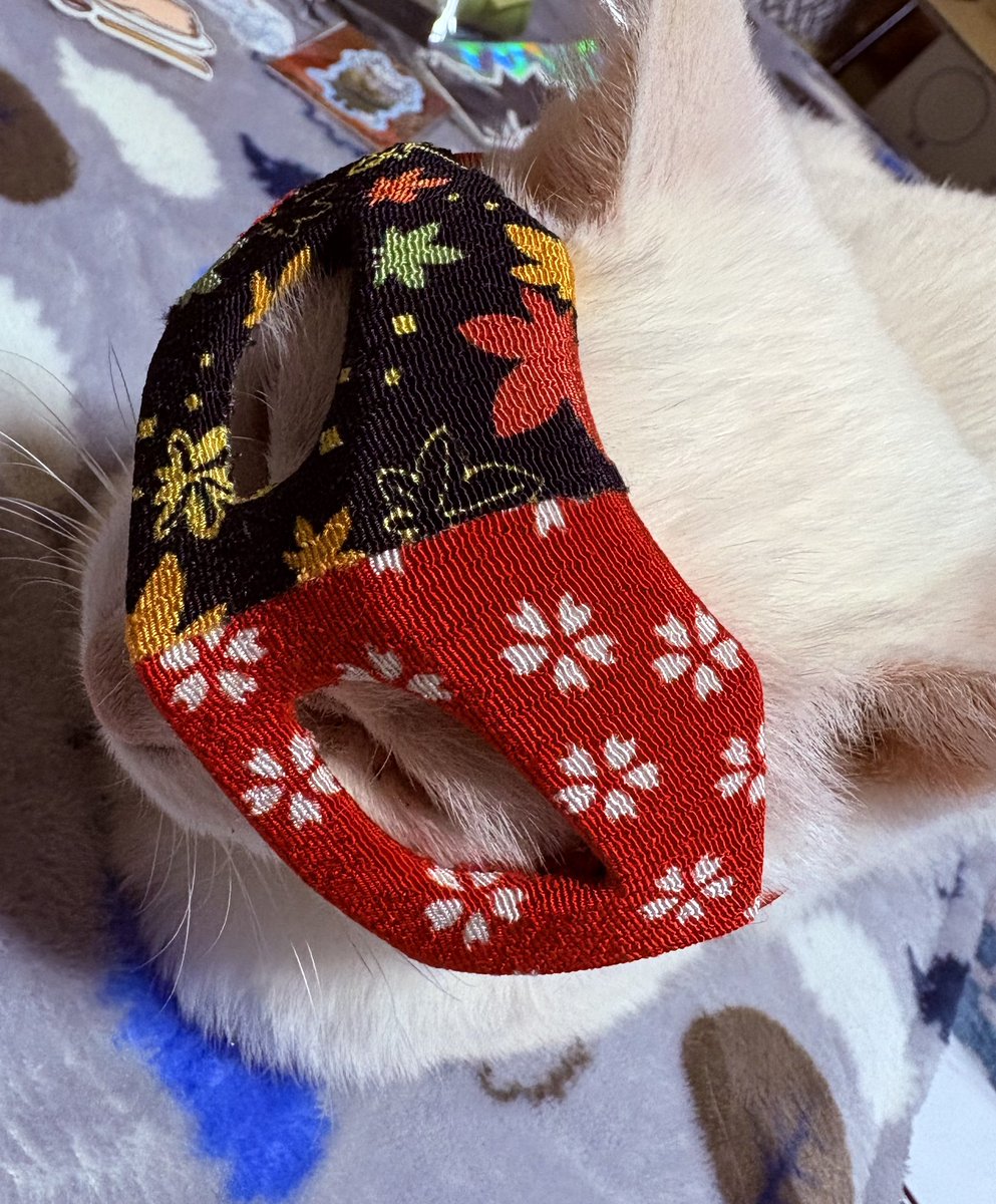 rash_muteppou's tweet image. 先日デザフェスでいっぱいお話しさせていただいて、期間空いたから行けるかなと思ってニャスカレードマスク再チャレンジしました。
2匹とも俯きがちですが前より許されてにっこり。

納めください！