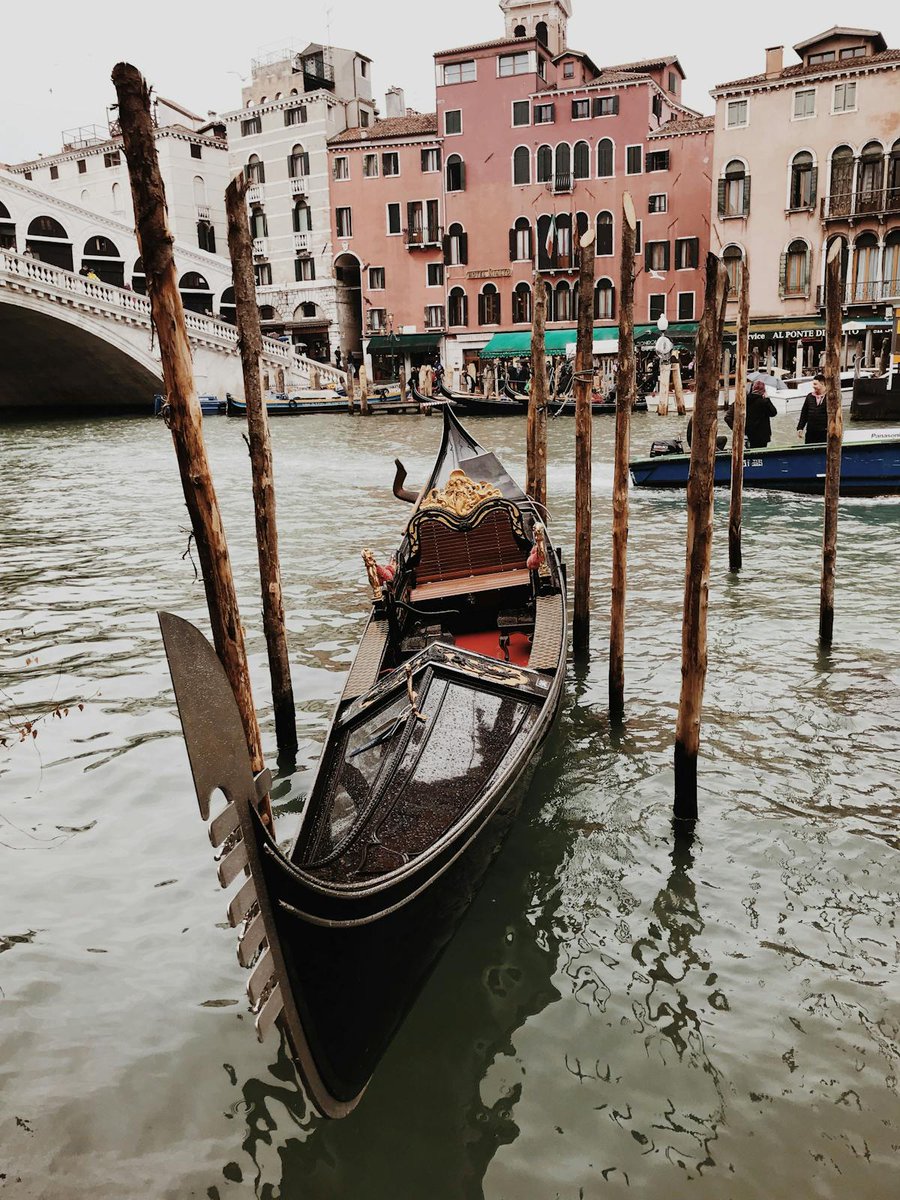KevinJamessfm's tweet image. 𝗧𝗼𝗽 𝟭𝟱 𝗮𝘁𝘁𝗿𝗮𝗰𝘁𝗶𝗼𝗻𝘀 𝗶𝗻 𝗩𝗲𝗻𝗶𝗰𝗲
Don’t miss the gondola!
Spanning some 118 islands and with canals for streets, the city’s only means of wider transportation is by boat.
#https://www.rfr.bz/t293009
#Venice #Travel #Holiday #Wanderlust #Italy