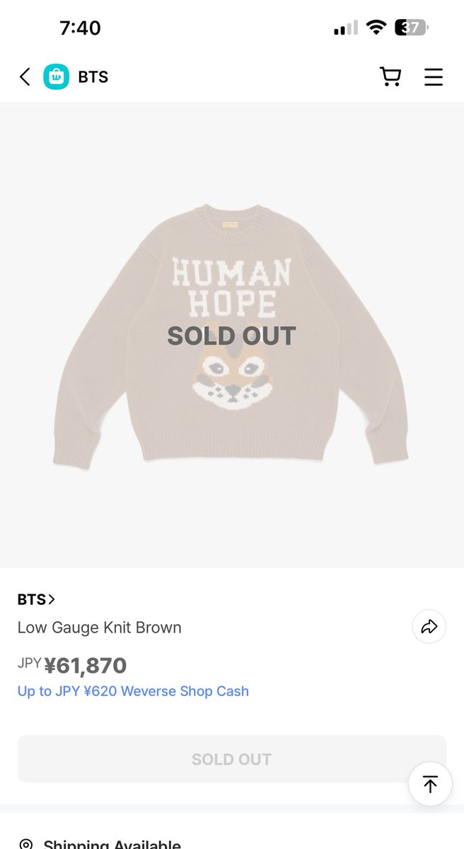 HUMAN HOPE LOW GAUGE KNIT L HUMAN HOPE LOW GAUGE KNIT ニット