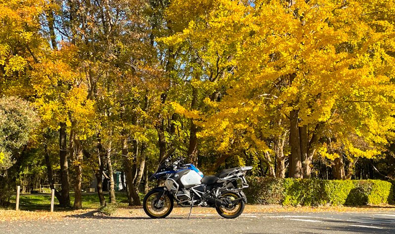 7_Sayuna_xx's tweet image. 2025.11.24
バッテリーあがり
(ジャンプスタート実施)
バッテリー要交換
燃料少