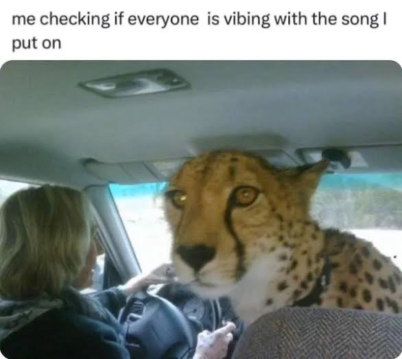 Glmax186245's tweet image. 