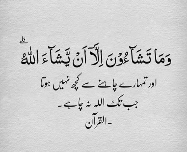 🪴السلام علیکم ورحمتہ اللہ وبرکاتہ 🪴 
🪴نماز پڑھیں 🪴قرآن مجید پڑھیں 🪴
#خاتم_النبیین_محمدﷺ
