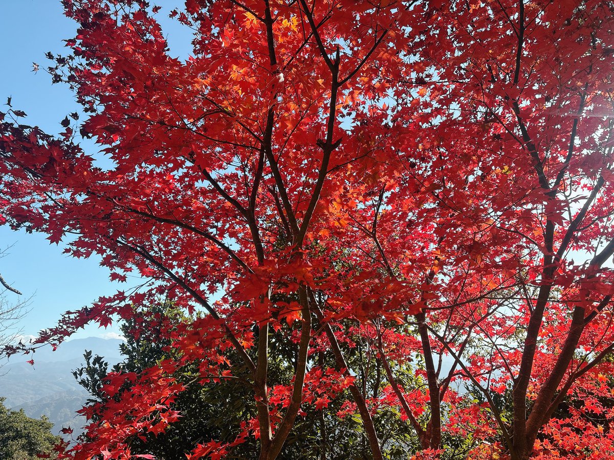 stack_zy's tweet image. 伊豆パノラマパーク。結構良かった。