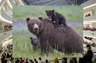 Ake_ChakPhab's tweet image. 🐝I remember freedom every day.🧭Candles burn, lower.