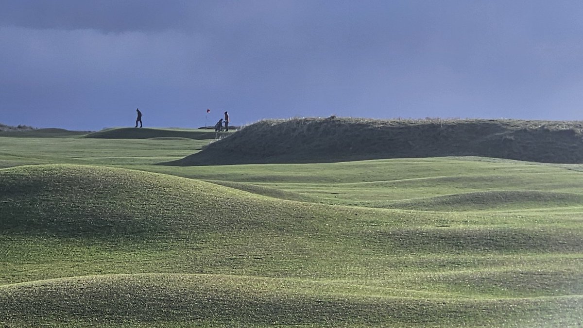 DavidNFBellgolf's tweet image. #Foxy in winter light. @RoyalDornochGC