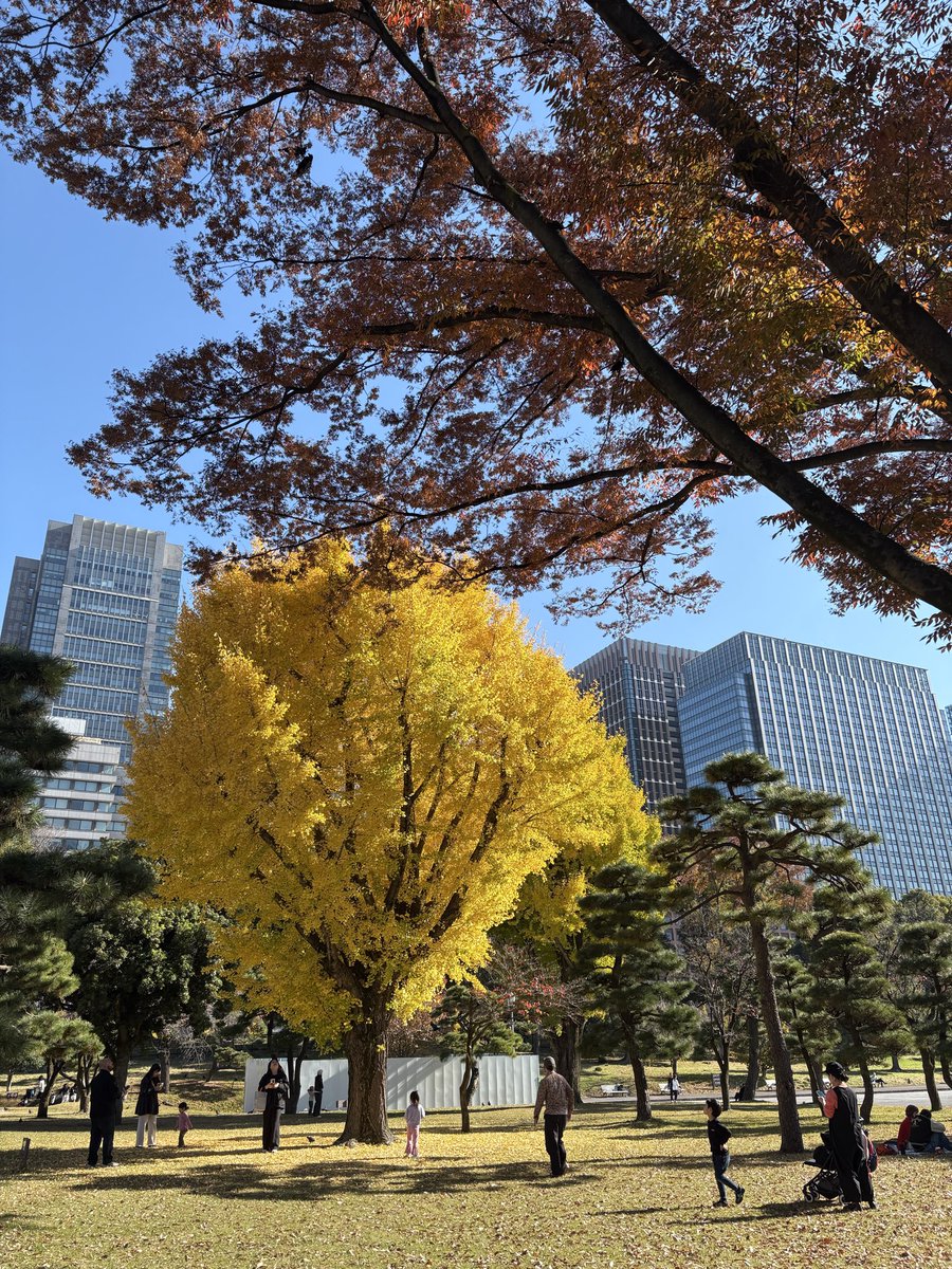 まだちょっと緑