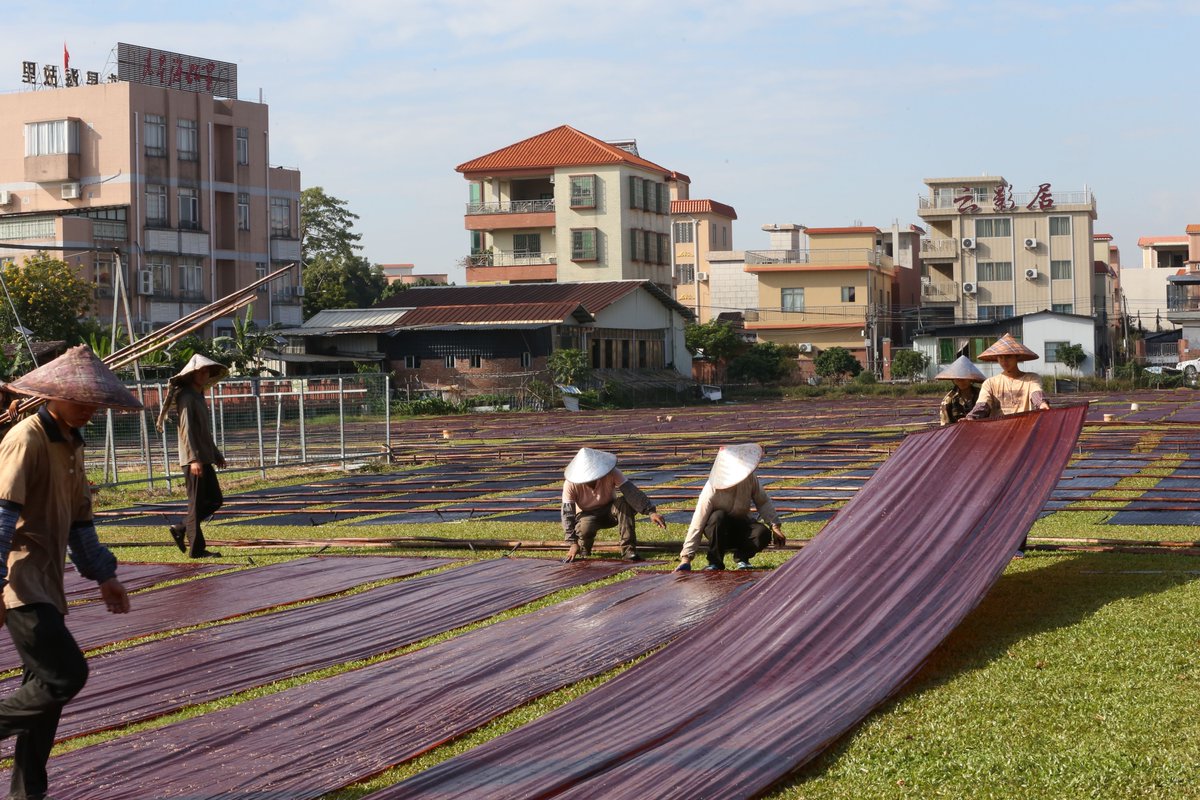 ChinaTravelwow's tweet photo. Seriously? This luxurious fabric was actually "crafted from river mud"?
At #Nansha’s #Xiangyunsha Cultural Park, plain gauze undergoes repeated steaming, boiling, and sun-drying, then is coated with river mud for fermentation. That’s how it becomes this special fabric. https://t.co/AlinTiOfJ6
