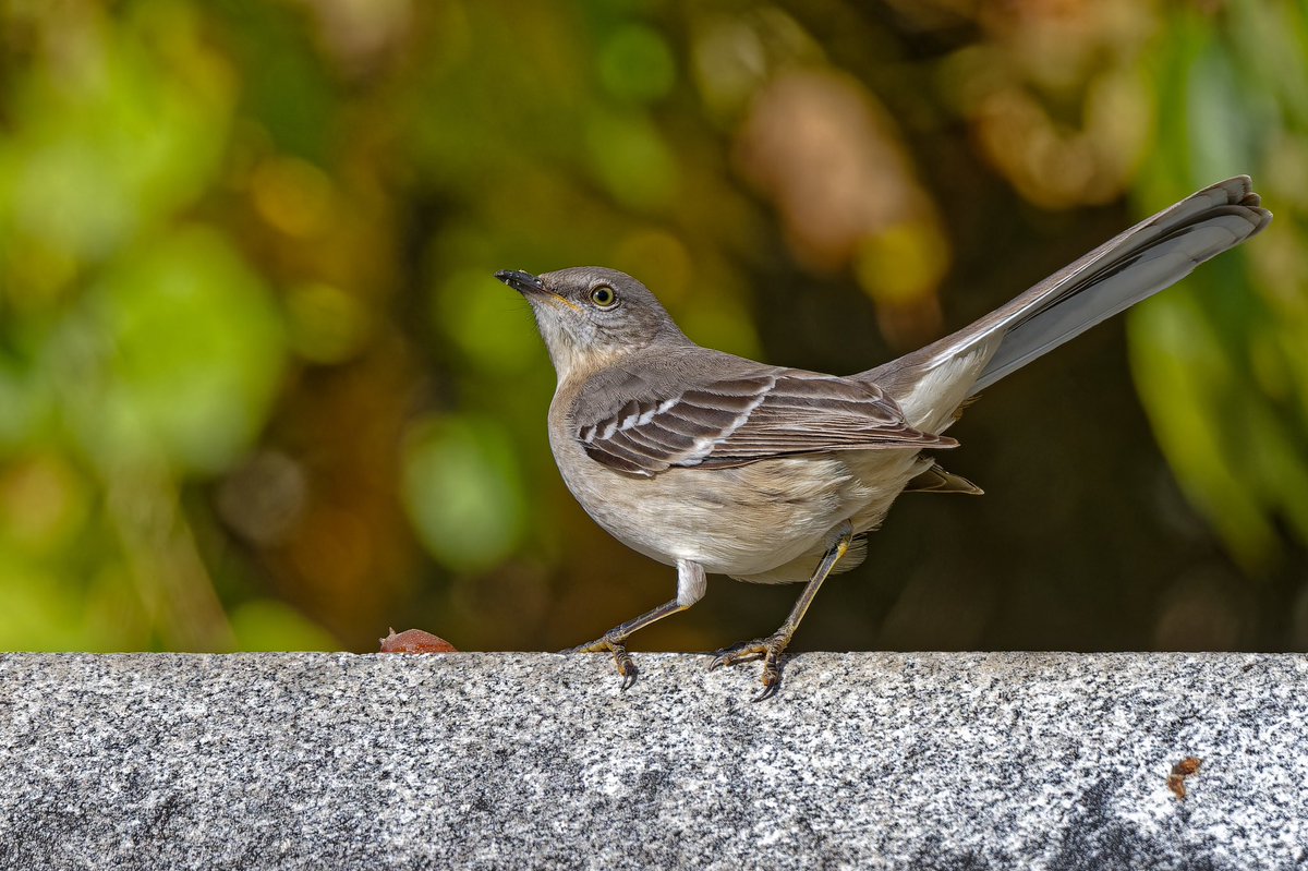 EJ Bartolazo tweet media