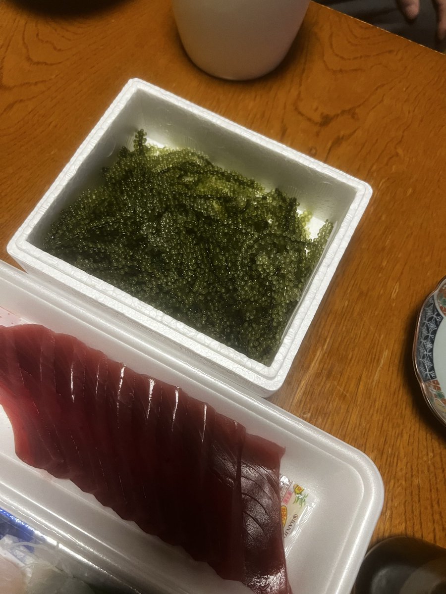 sumage127's tweet photo. こんにちは🍁

海ぶどうとマグロ🍣

いただきます https://t.co/VQmHAgJvT9
