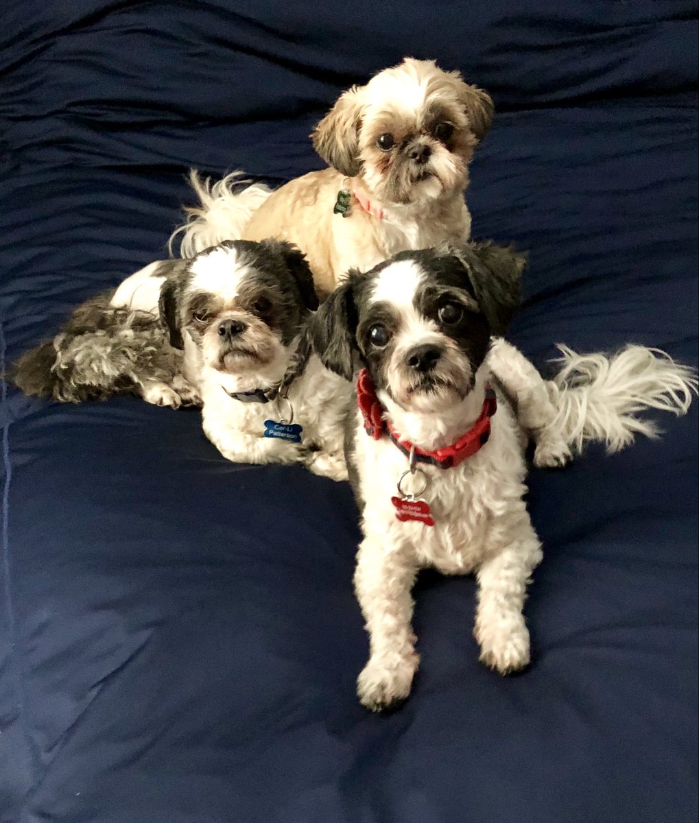 Stephanie P. tweet media