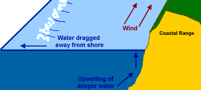 ravindra8604's tweet photo. Upwelling zones 1% se bhi kam ocean area cover karte hain, par 20% global fish catch inhi ki wajah se hota hai. Deep, nutrient-rich paani upar aata hai, making them biological engines of the oceans!
@UPSC_Notes
#OceanFacts #UpwellingZone #MarineLife #SamundarKaEngine #FishCatch https://t.co/kn4mA1l5Js