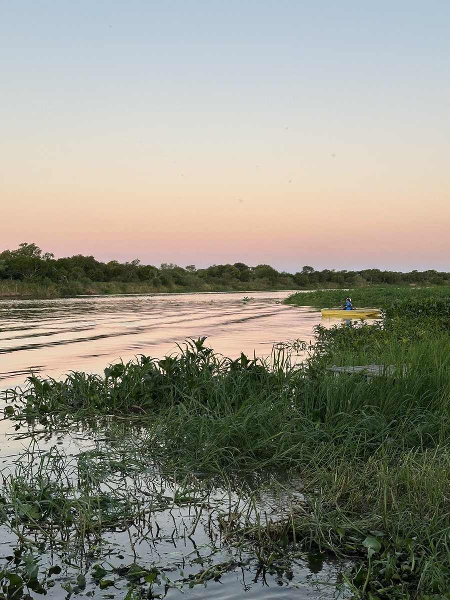 Hoy Sábalo y boga a la parrilla acá. Necesito dejar de comer y beber como gremialista.