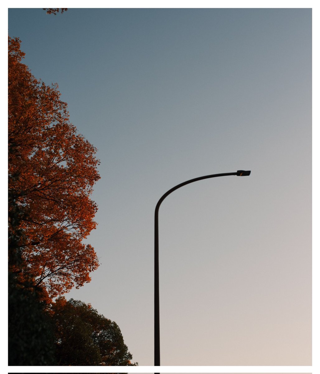 Nov.24
風のにおい