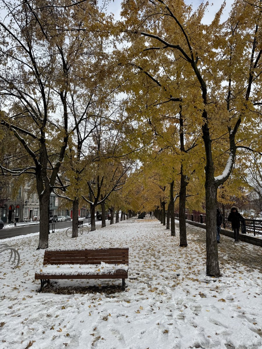 adreevazquez's tweet photo. wholesome 🫰🏻🍁❄️ https://t.co/8o9dLeHx8g