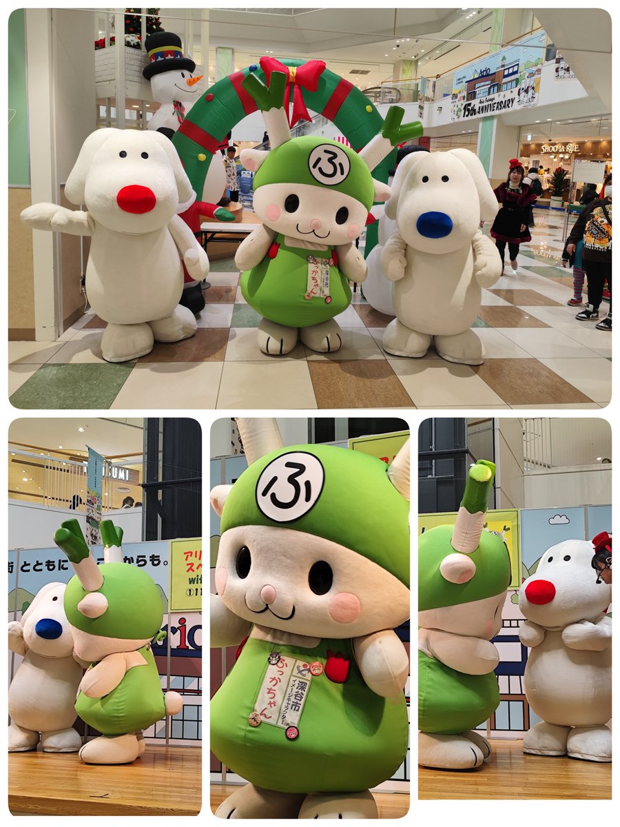 ふっかちゃんページです！2点セットアップ ふっかちゃん様専用ページです！2点セットアップ ふっかちゃん