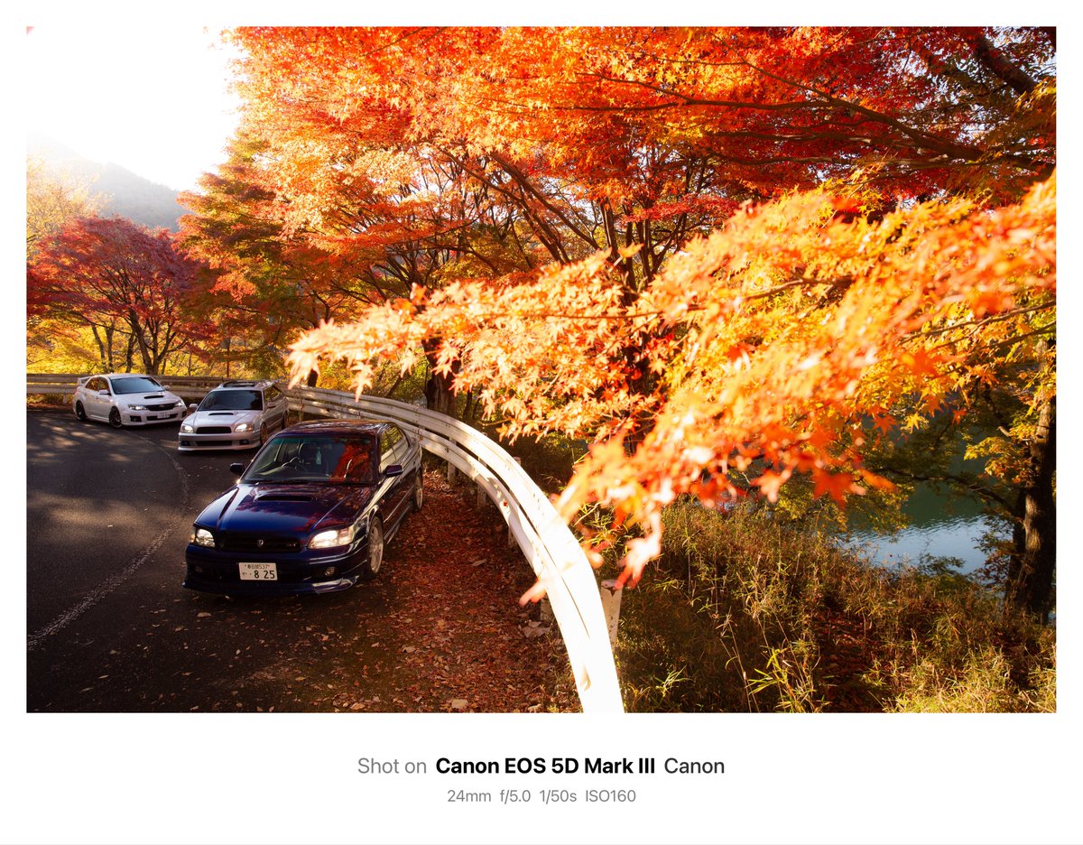 boya_photo's tweet image. ロケーションが良すぎた