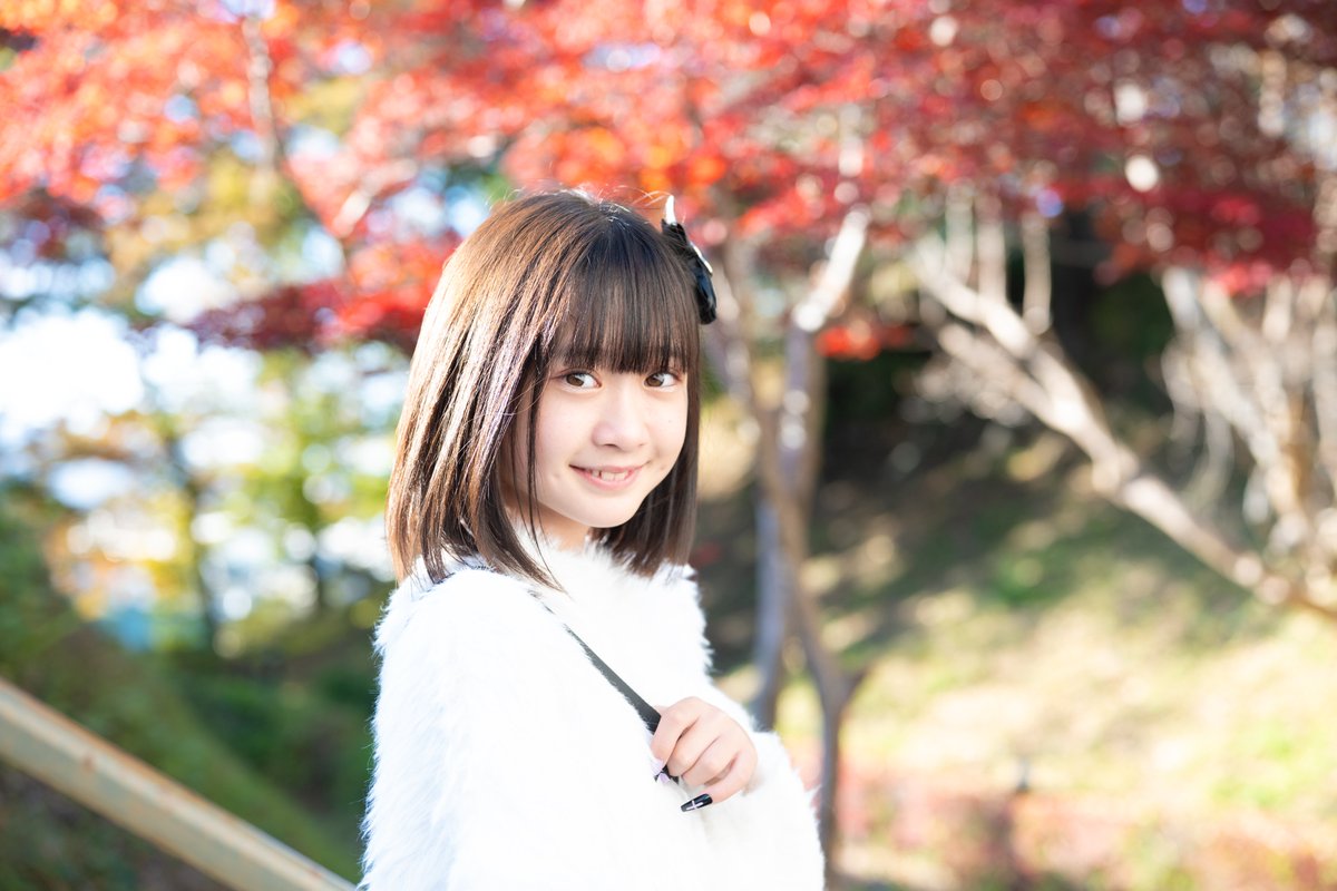 212　とらちゃん sanac 2025.11.15＠城山公園 #sana #RocKetsModels