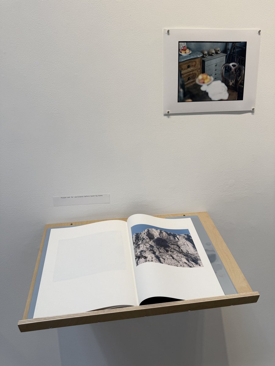 鈴木理策 (@risakusuzukih13) / Posts / X