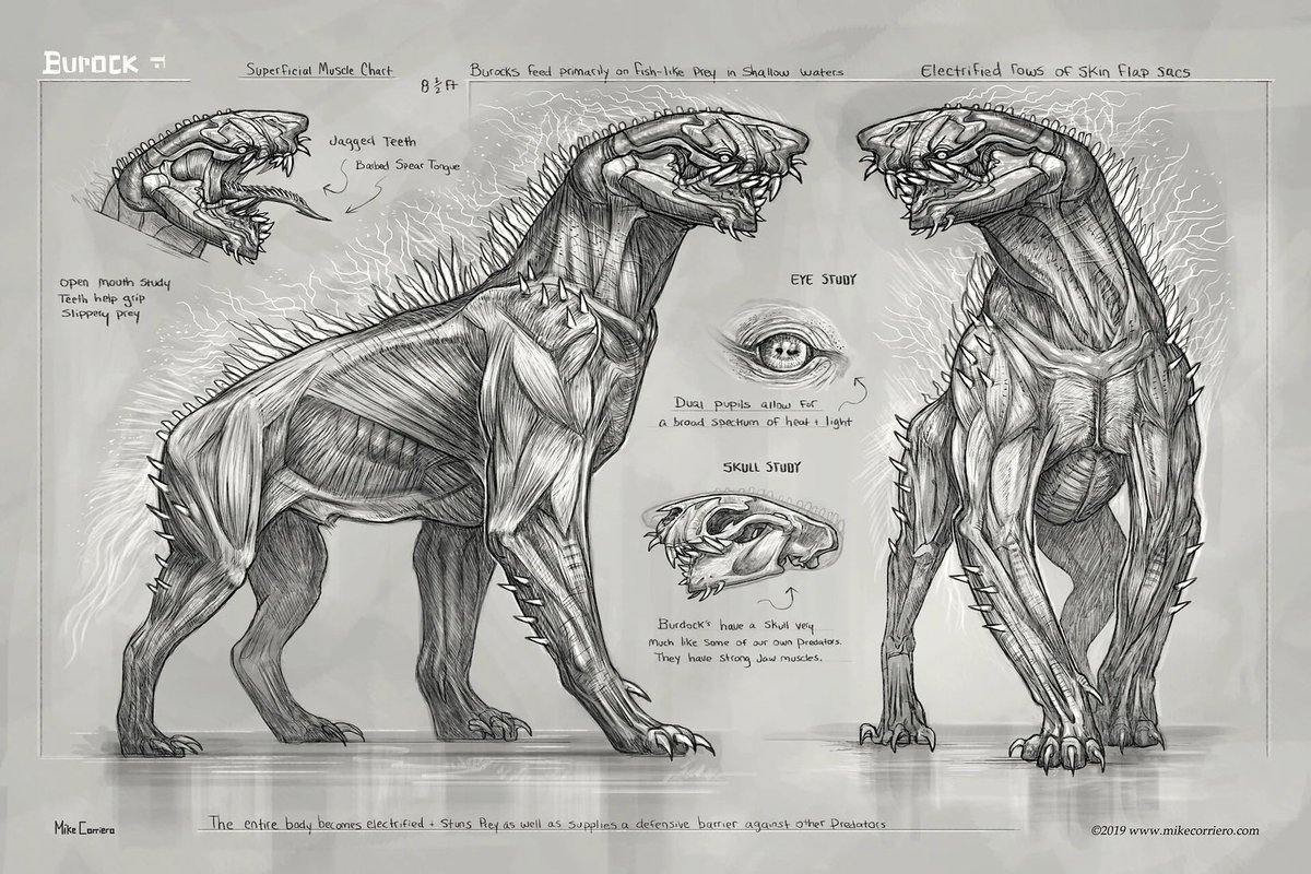 CreatureDesigns's tweet image. This concept started from a rough linework unfinished sketch… then a muscle chart and a final in pose in environment. MikeCorriero.com Gumroad.com/MikeCorriero