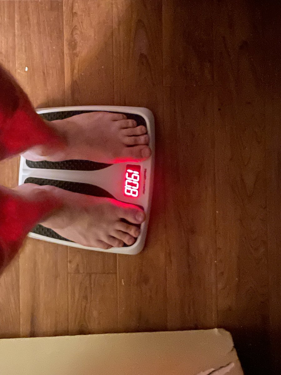 Sylv 🔜 TFF tweet media