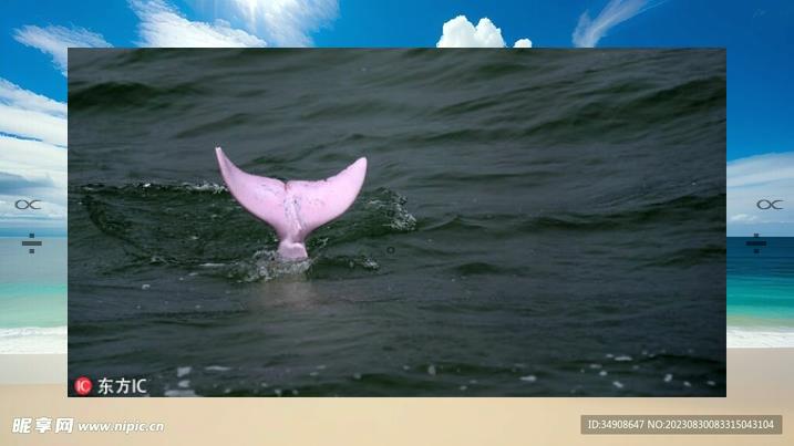 NTY728's tweet image. 💙Peace found, steadily. Calm.🕵Evening walk, peaceful.