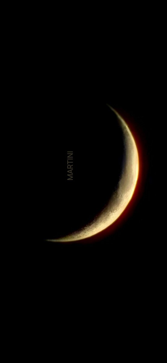 digitalmindlabs's tweet image. Gn 🌙 🌹💫😘