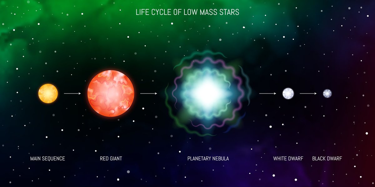 userelonMuskDa's tweet image. image of a supernova remnant like the Crab Nebula or the Pillars of Creation.