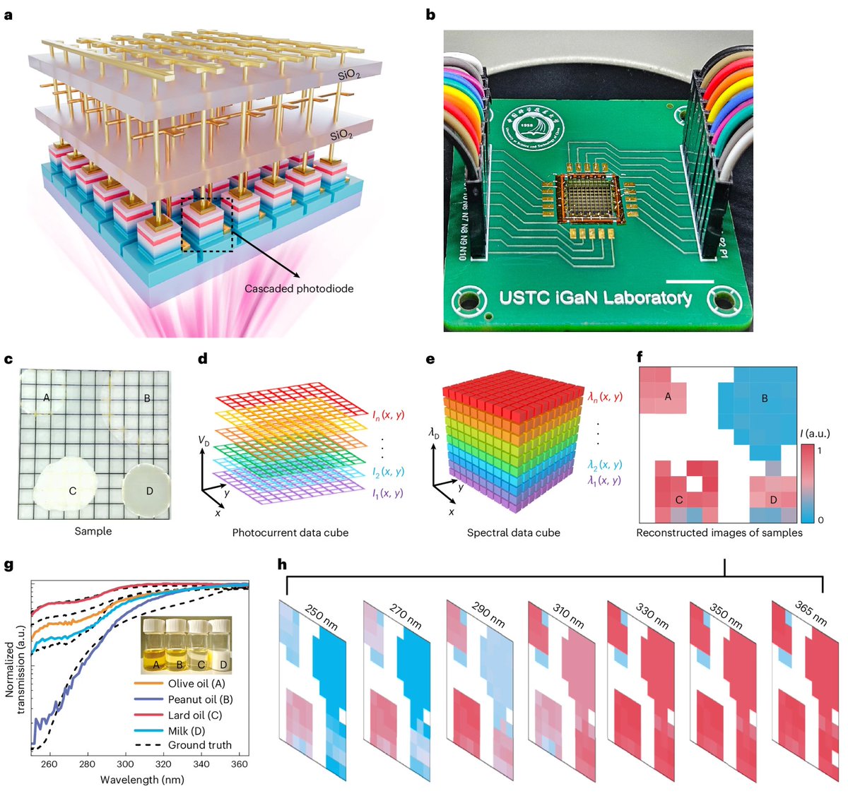 NaturePhotonics's tweet image. New article online: A miniaturized cascaded-diode-array spectral imager.

go.nature.com/4rjbcsj